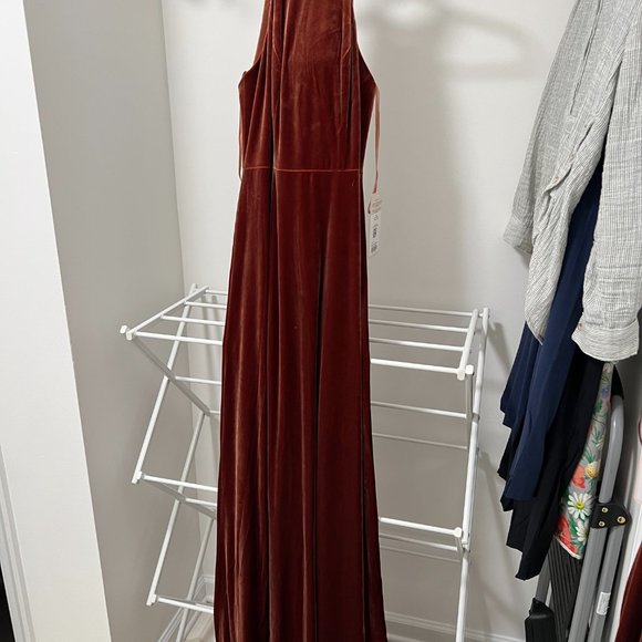 Revelry Velvet Bridesmaid Dress, Tori, Size 2, Terracotta - Picture 2 of 7